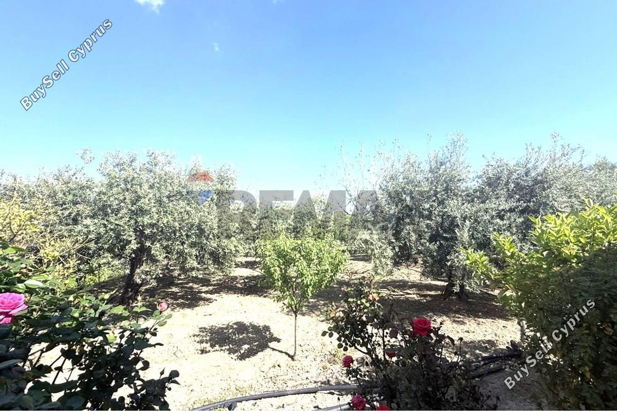 2 bedroom detached house for sale ora larnaca 9009501 image 18398287