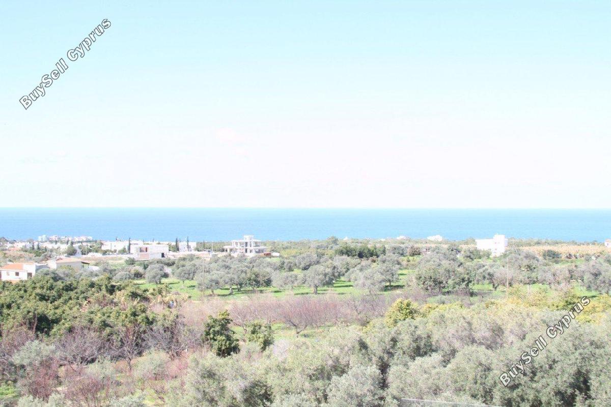 4 bedroom detached house for sale saint george peyia paphos 1752501 image 7680100