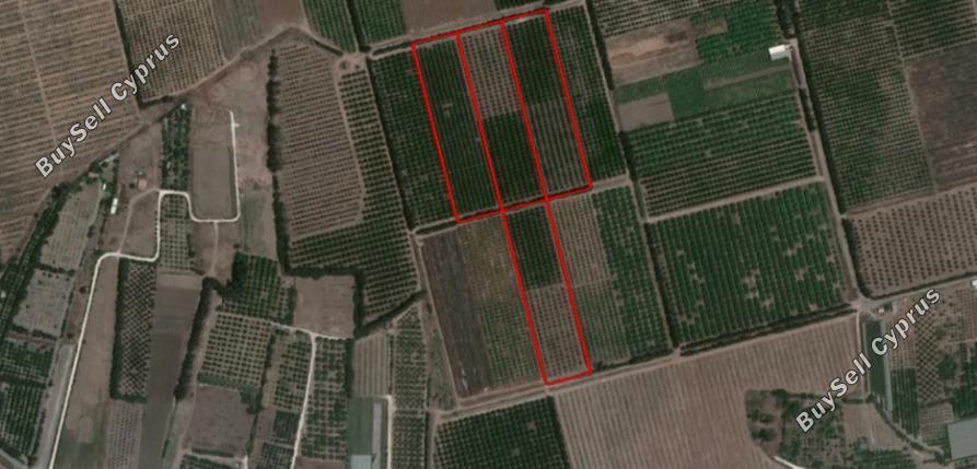 land for sale akrotiri limassol 1928501 image 7560840