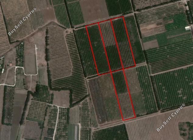 land for sale akrotiri limassol 1928501 image 7560842