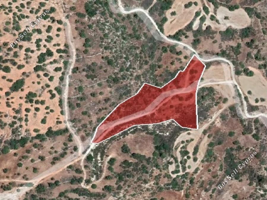 land for sale peristerona pafou paphos 8630501 image 16685595