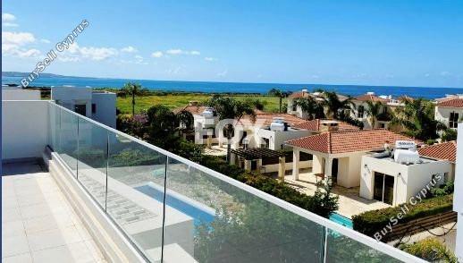 3 bedroom detached house off market coral bay paphos 1270601 image 5579404