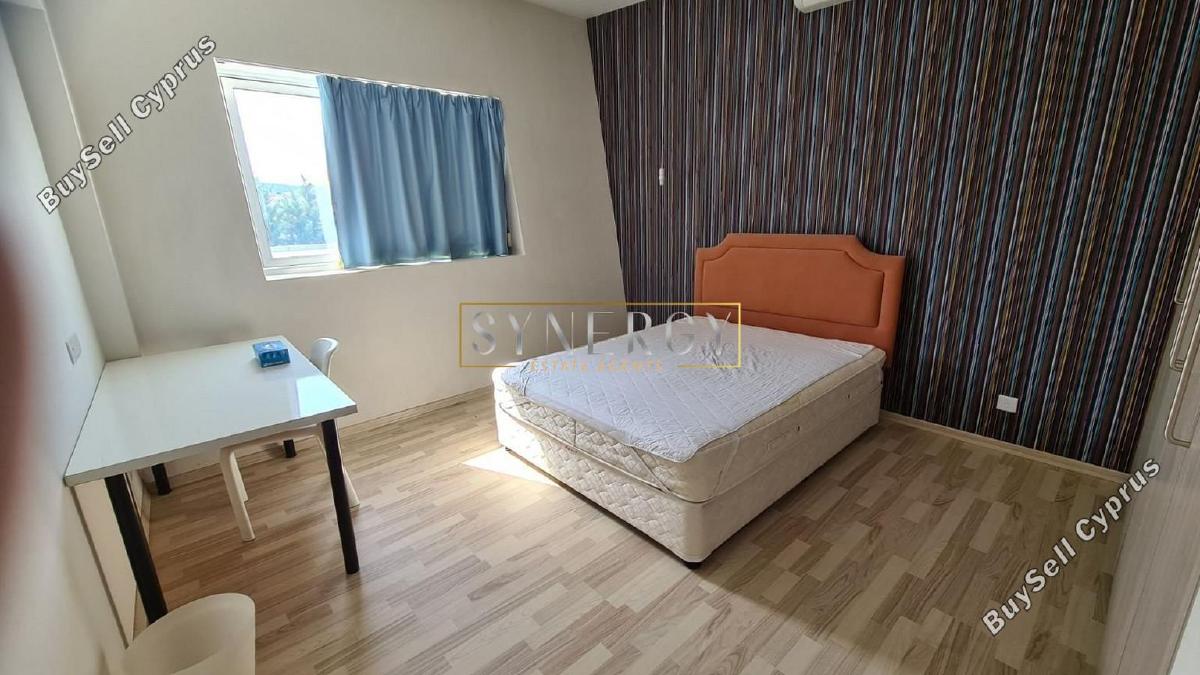 4 bedroom detached house for sale dali nicosia 1037701 image 6528612