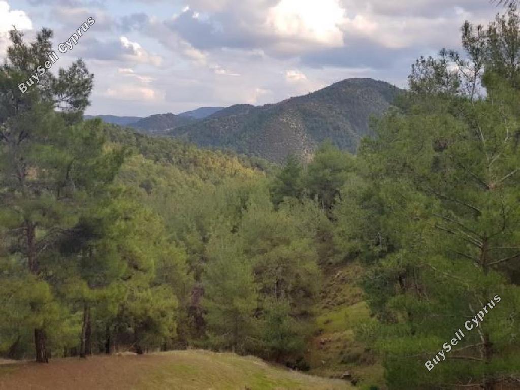 land for sale pigenia nicosia 945701 image 15600813