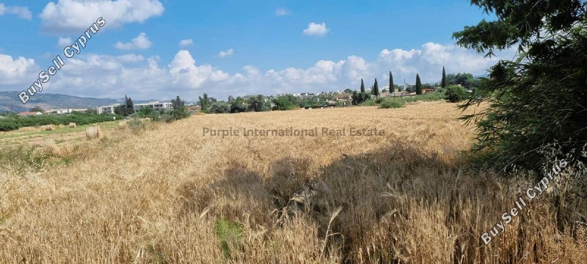 plot for sale poli chrysochous paphos 7543701 image 17007578