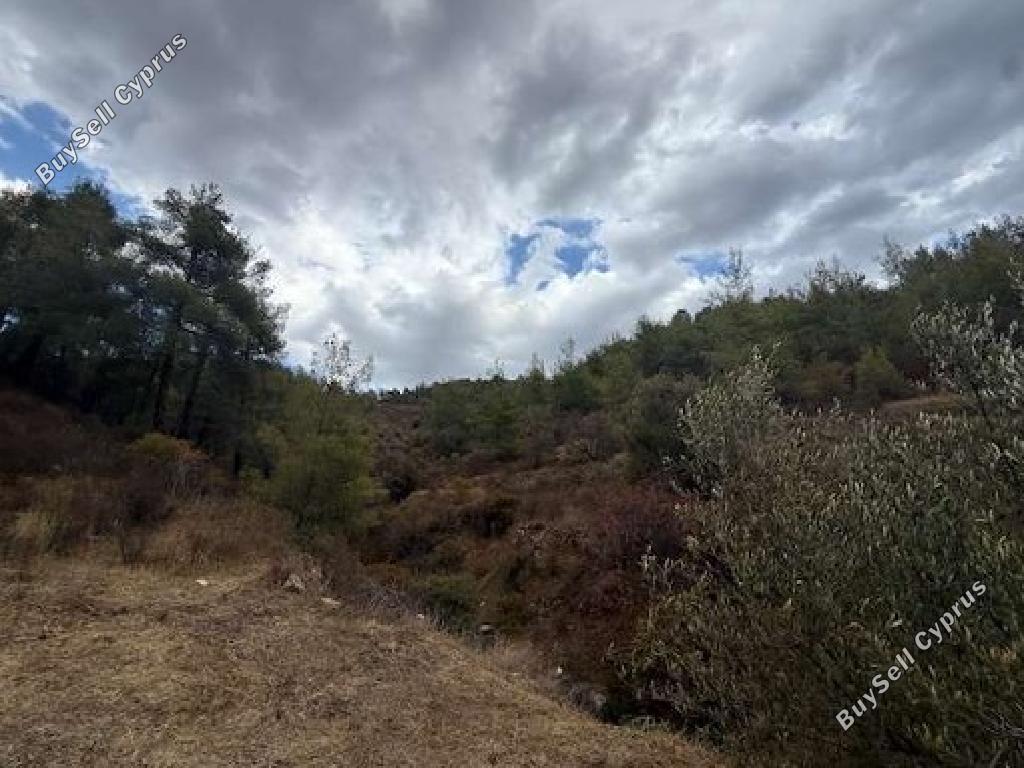 land for sale gourri nicosia 945801 image 17071829