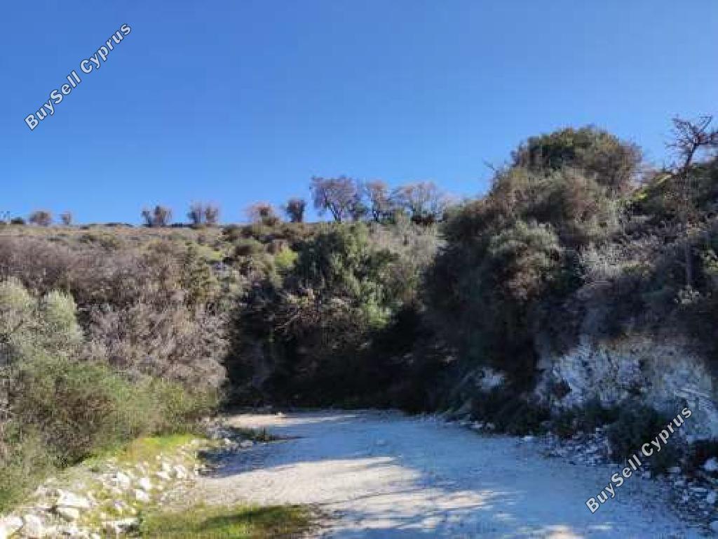 land for sale salamiou paphos 1394801 image 15599394