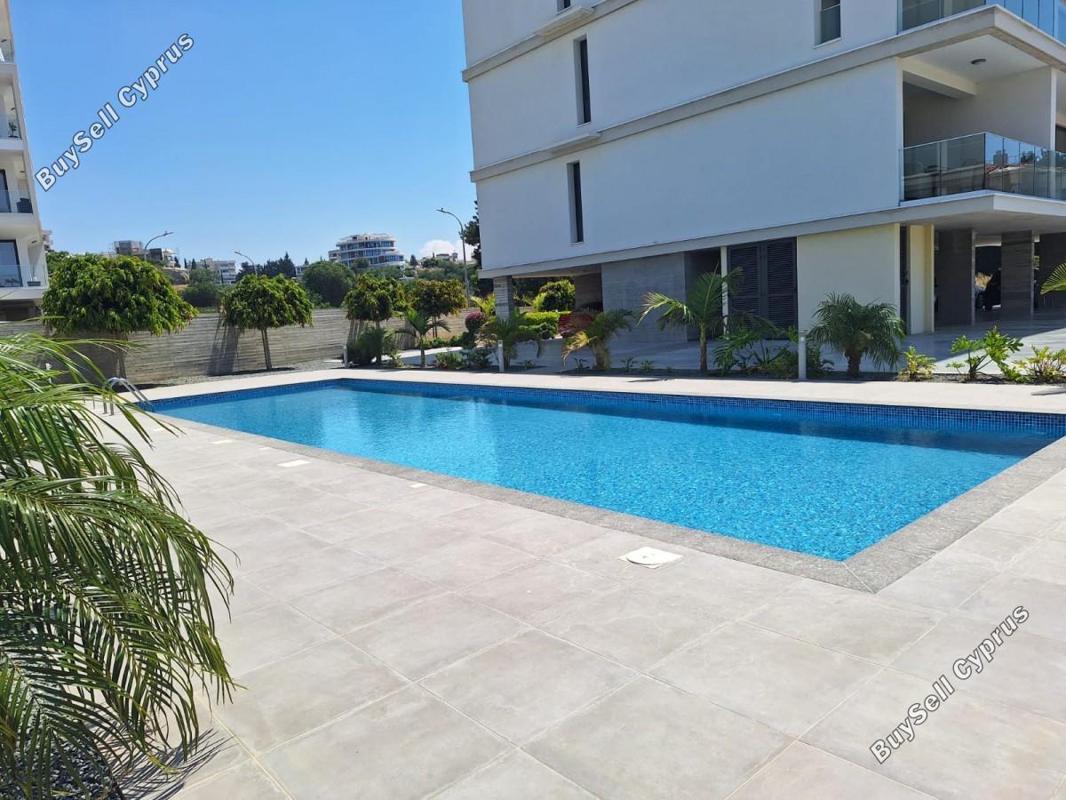 1 bedroom apartment for rent kato paphos paphos 8833901 image 17013032