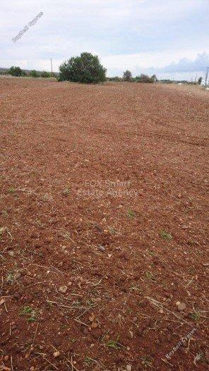 plot for sale agios theodoros larnacas larnaca 1419901 image 13966993