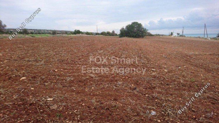 plot for sale agios theodoros larnacas larnaca 1419901 image 13966995
