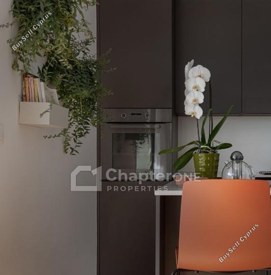 2 bedroom apartment for sale dasoupoli nicosia 8345011 image 14780728