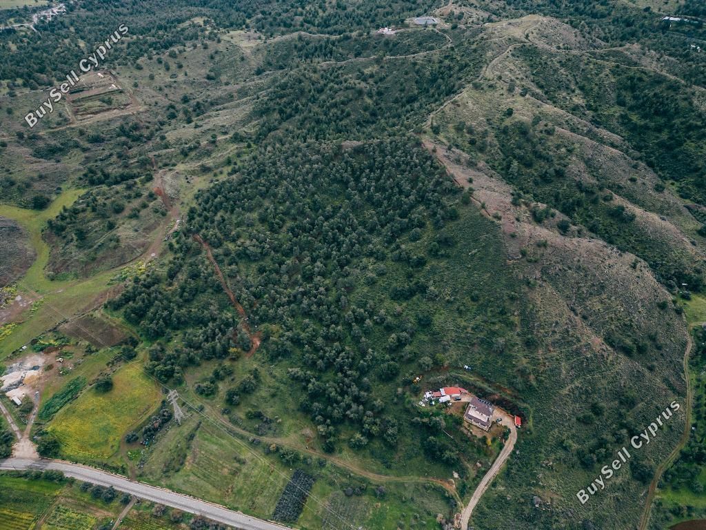 land for sale flasou nicosia 1008111 image 1008978