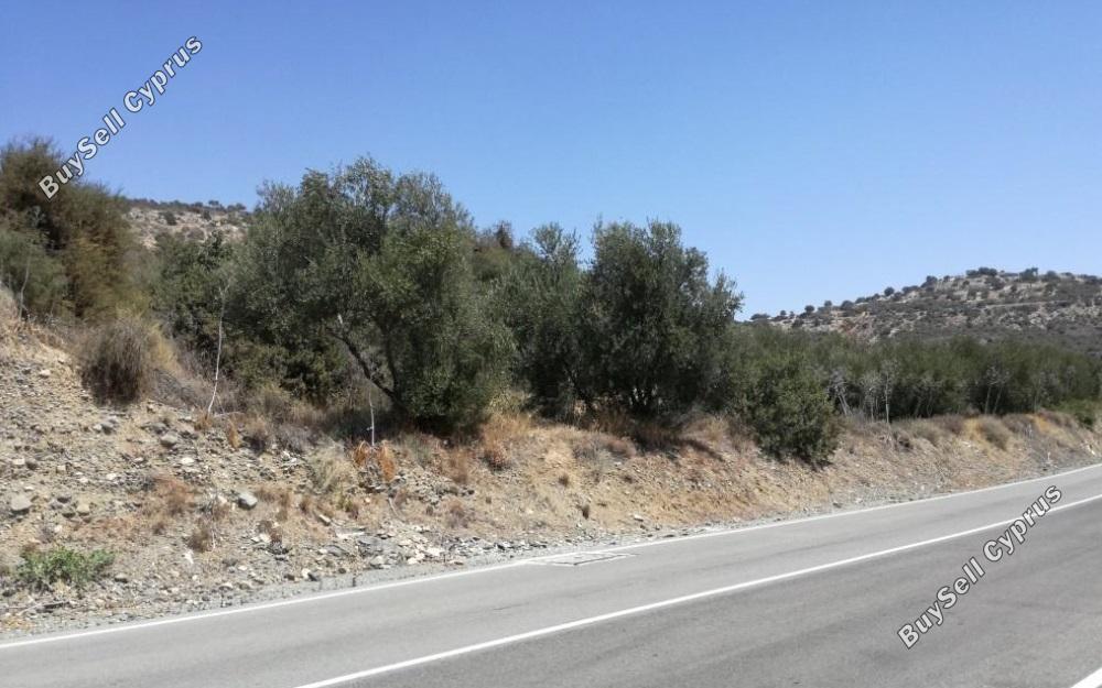 land for sale skarinou larnaca 831111 image 2346688