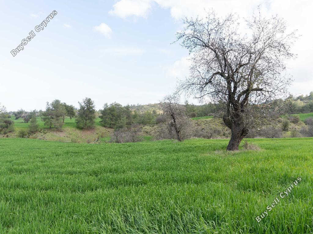 land for sale klirou nicosia 1037211 image 15600739