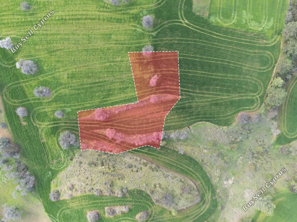 land for sale klirou nicosia 1037211 image 15600740