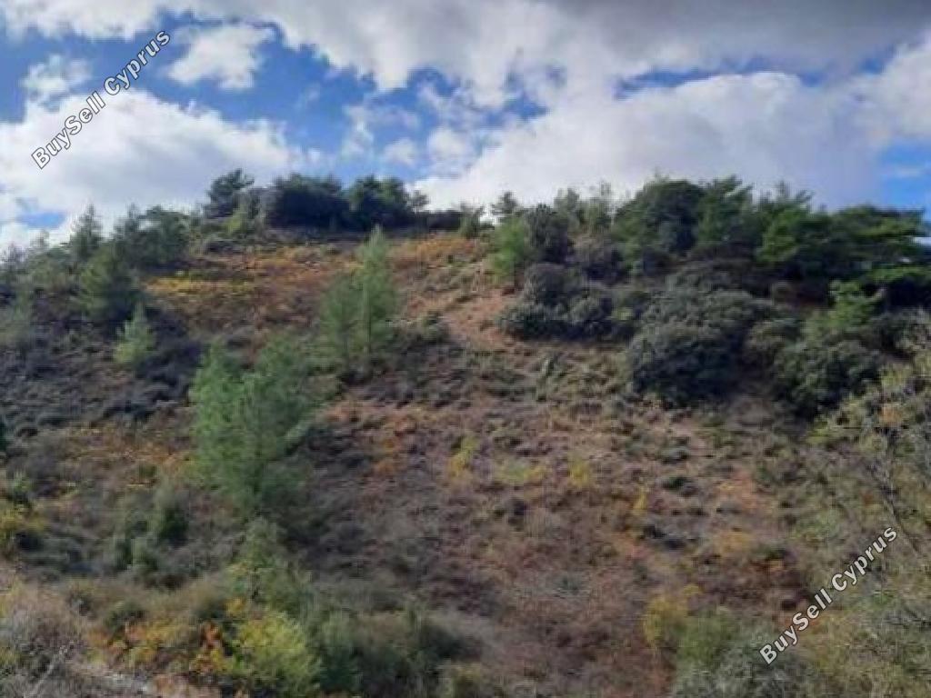 land for sale odou larnaca 1701211 image 4502787
