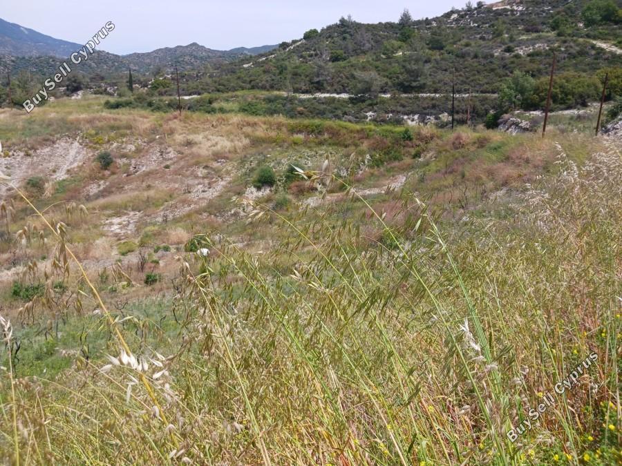 land for sale trimiklini limassol 8375211 image 14610479