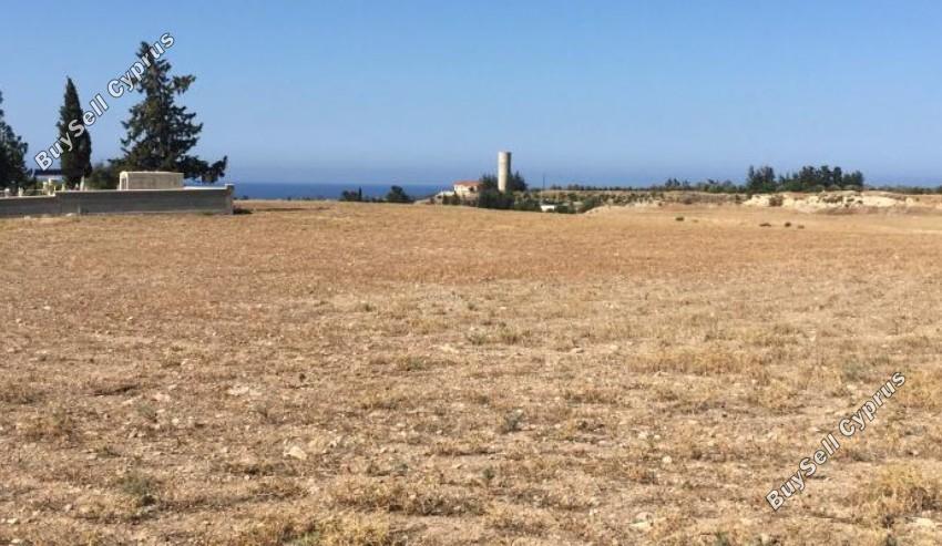 18456 SQM Land for sale in Timi, Paphos 14818335
