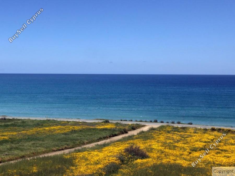 3 bedroom detached house for sale argaka paphos 1355311 image 9343185