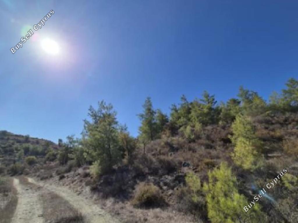land for sale kapedes nicosia 1828311 image 15594018