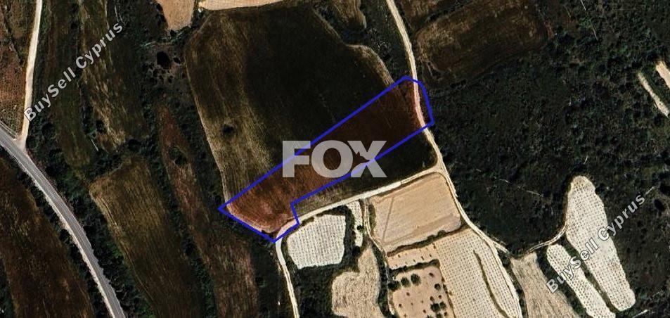 land for sale kathikas paphos 1301311 image 5588843