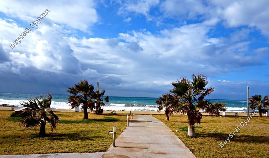 studio hotel for sale kato paphos paphos 7739311 image 12572041