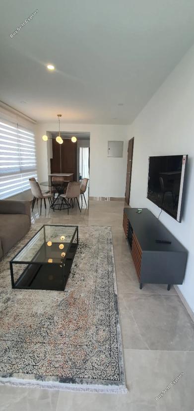 1 bedroom apartment for rent agios nicolaos limassol 8376411 image 16331965