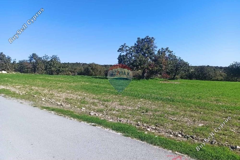 land for sale anogyra limassol 7953411 image 14121821