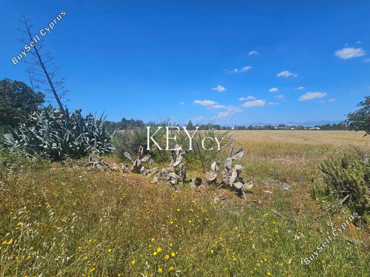 land for sale geri nicosia 8890411 image 17319691