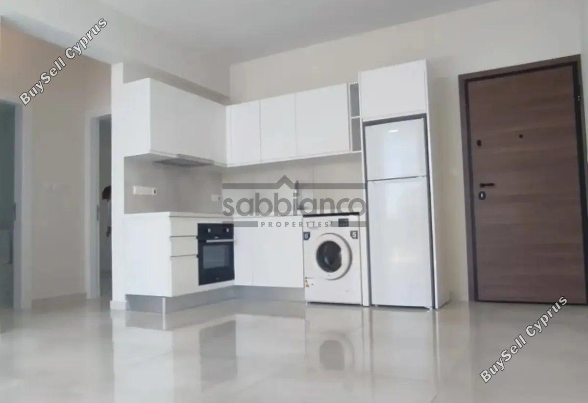 2 bedroom apartment for rent strovolos nicosia 8748511 image 16465495