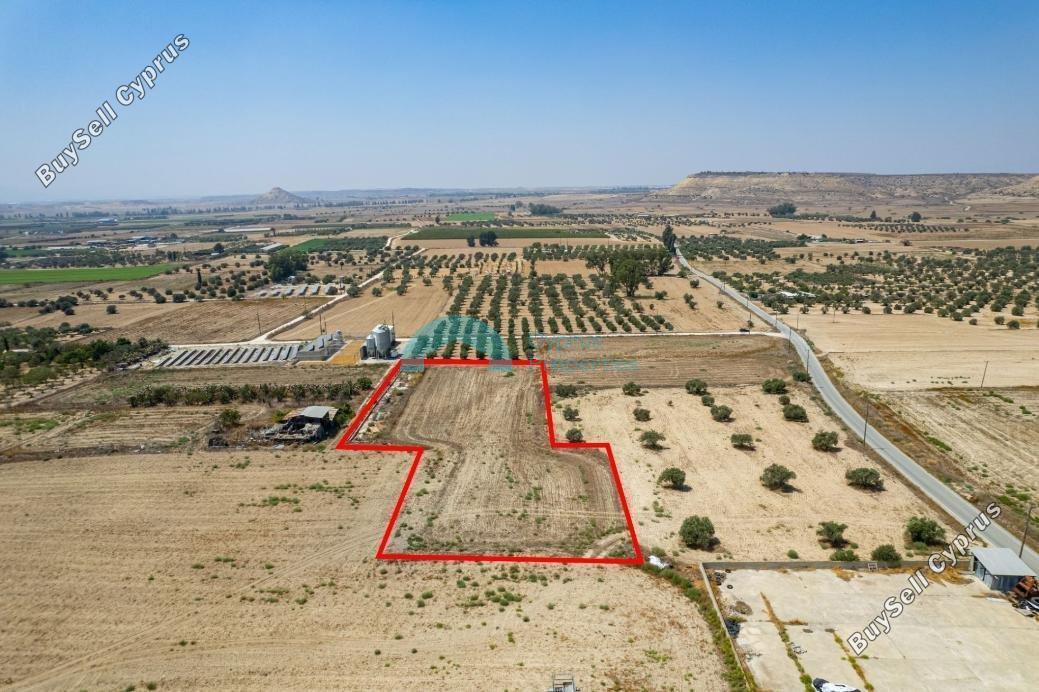 land for sale athienou larnaca 1934511 image 7619479
