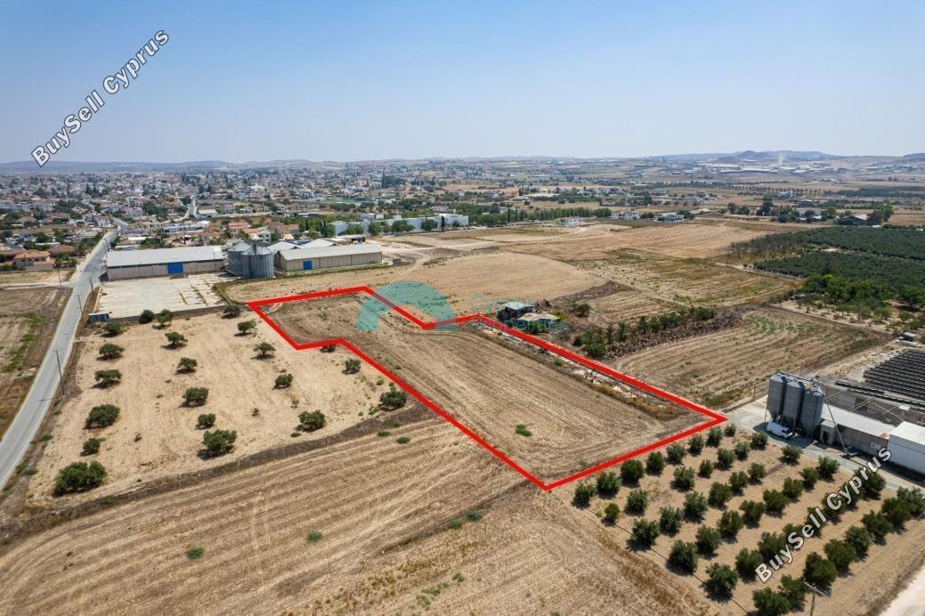 land for sale athienou larnaca 1934511 image 7619481