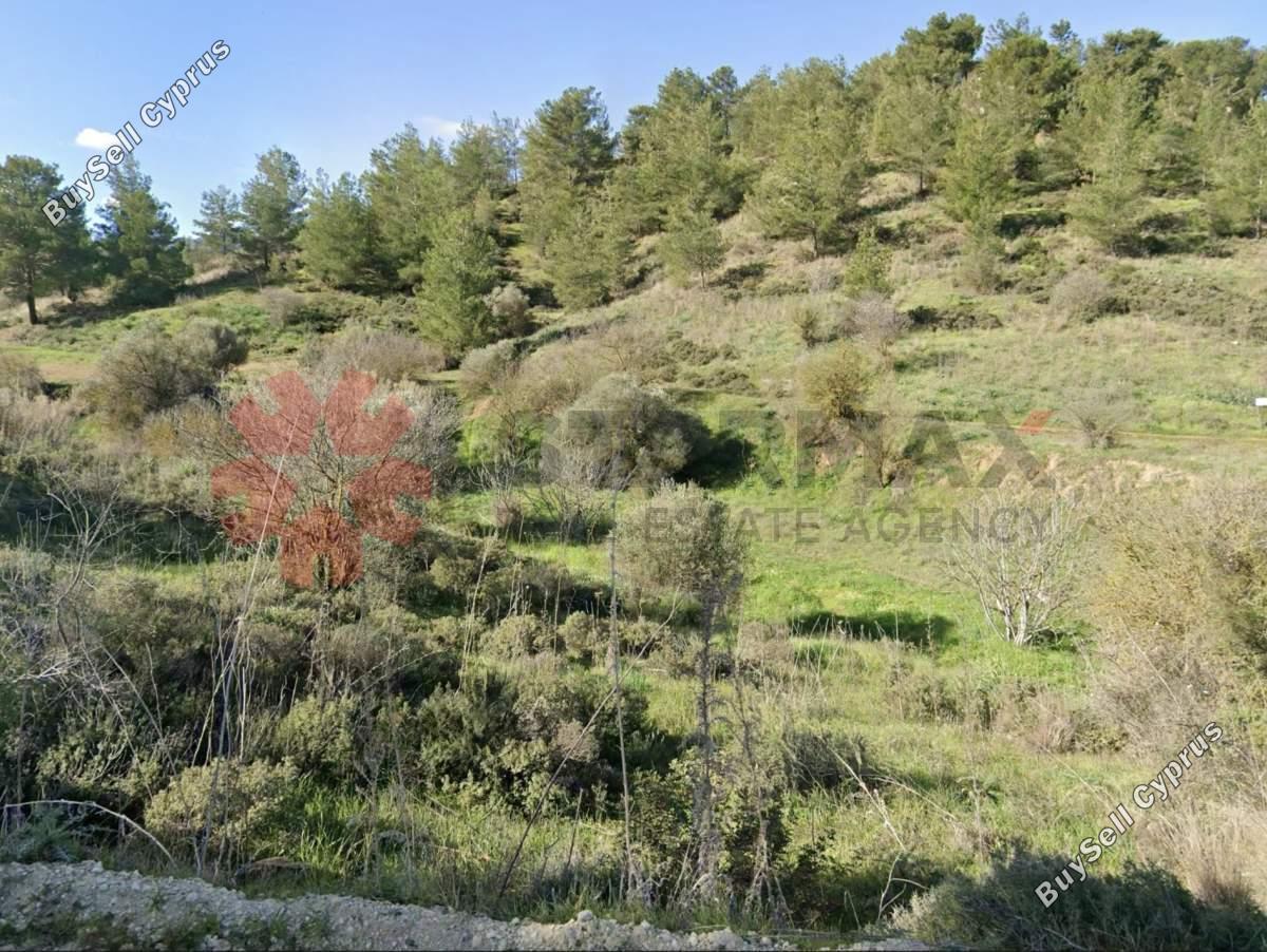 land for sale kapedes nicosia 8260511 image 13918163