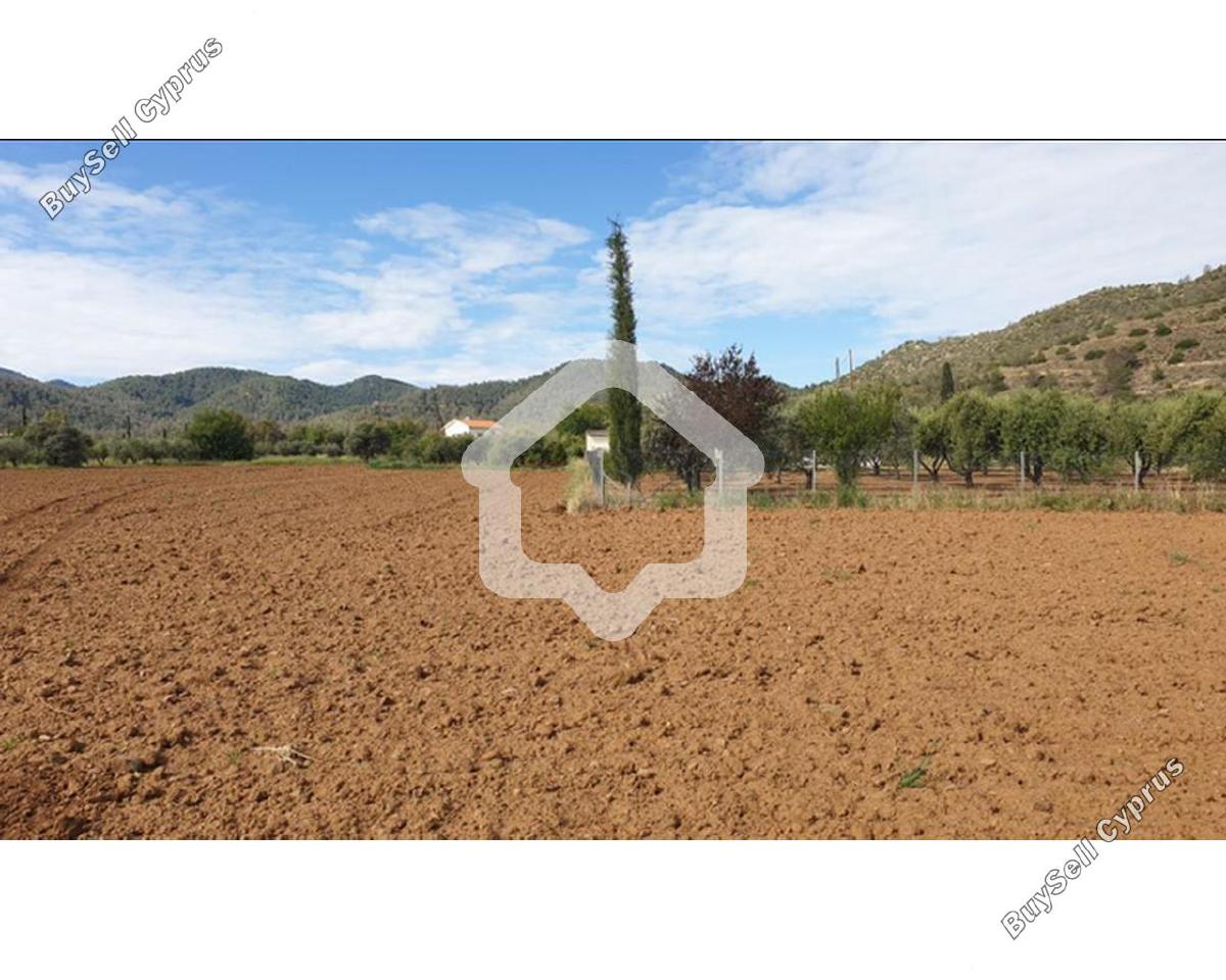 land for sale klirou nicosia 8960511 image 17790265