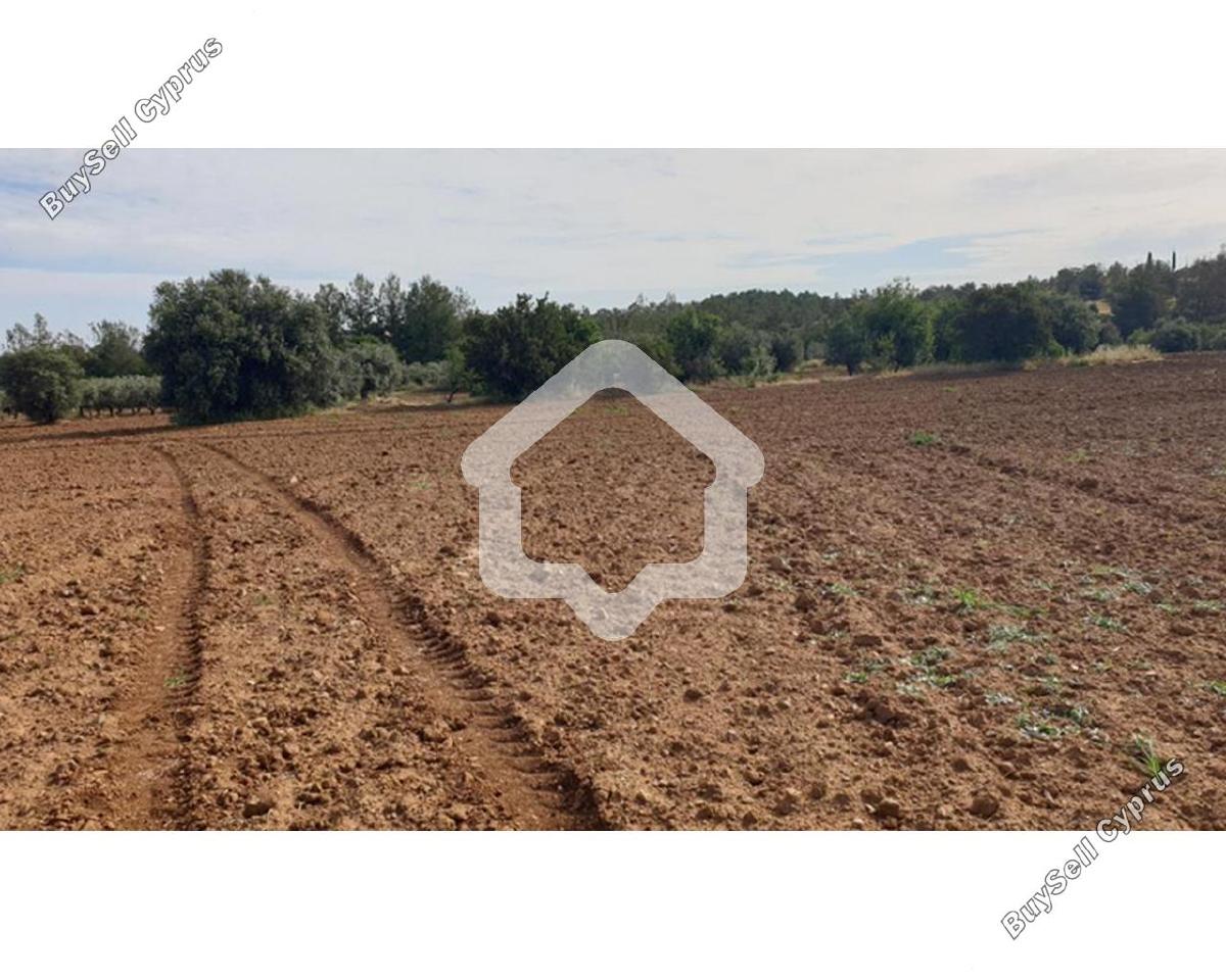 land for sale klirou nicosia 8960511 image 17790270