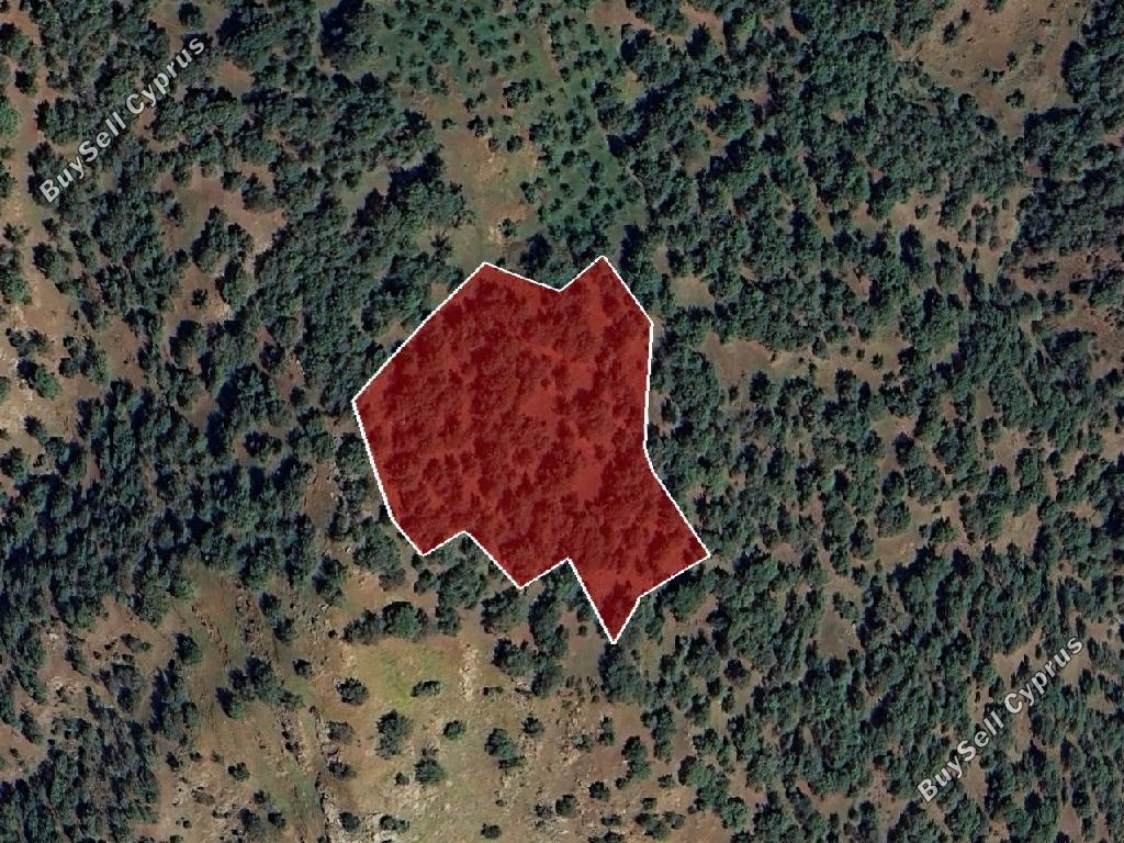 land for sale pigenia nicosia 7703611 image 10008635