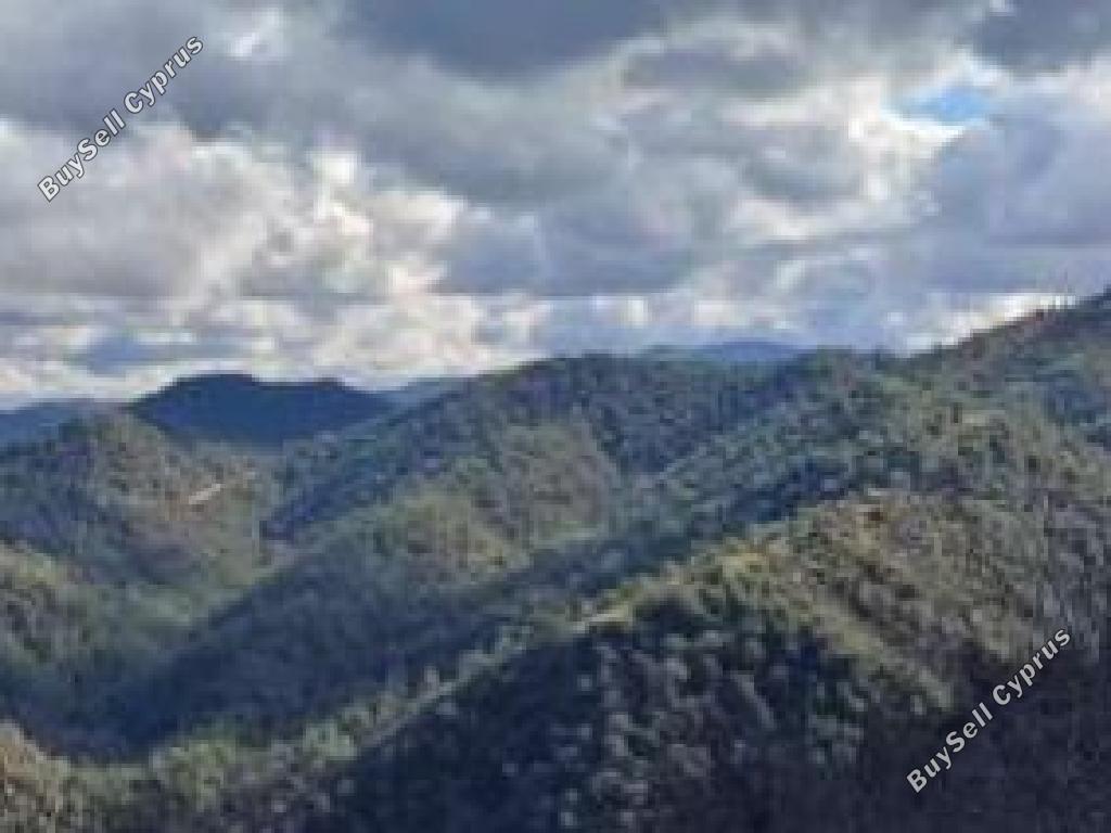land for sale pigenia nicosia 7703611 image 10008638