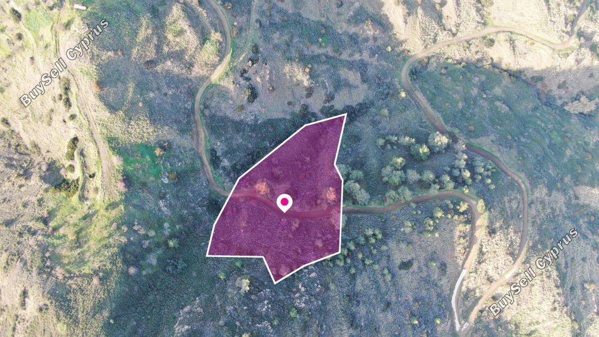 land for sale pigenia nicosia 8629611 image 15869219
