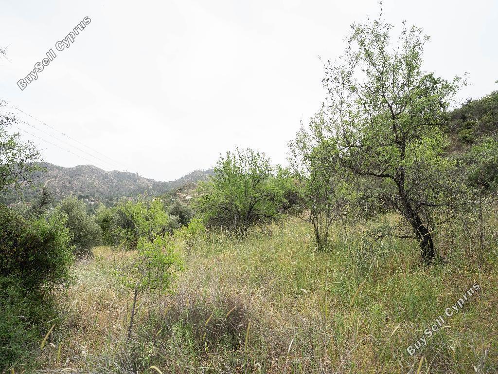 land for sale kaliana nicosia 8406711 image 14885396