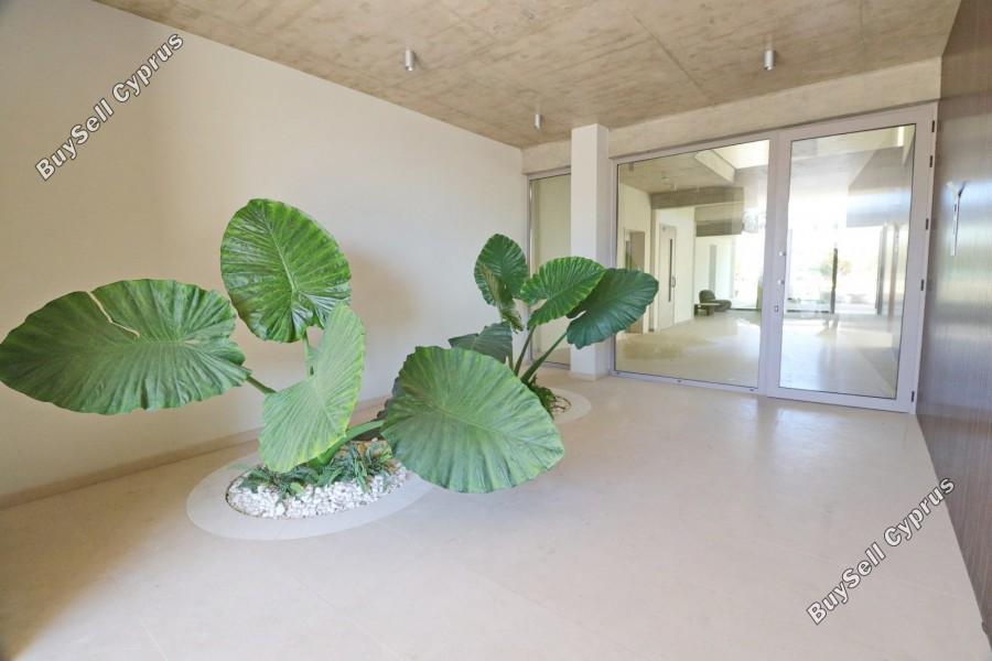 3 bedroom penthouse for sale kato paphos paphos 7703811 image 13843733