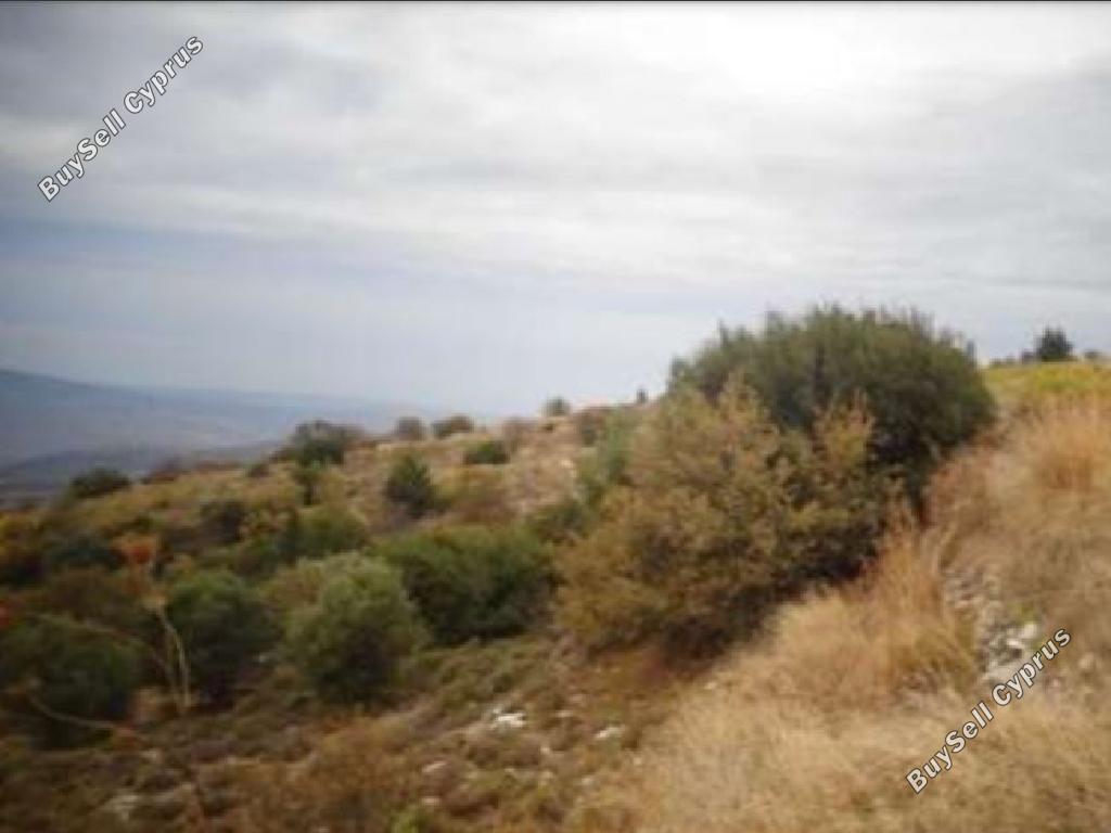 land for sale kilinia paphos 945811 image 15600334