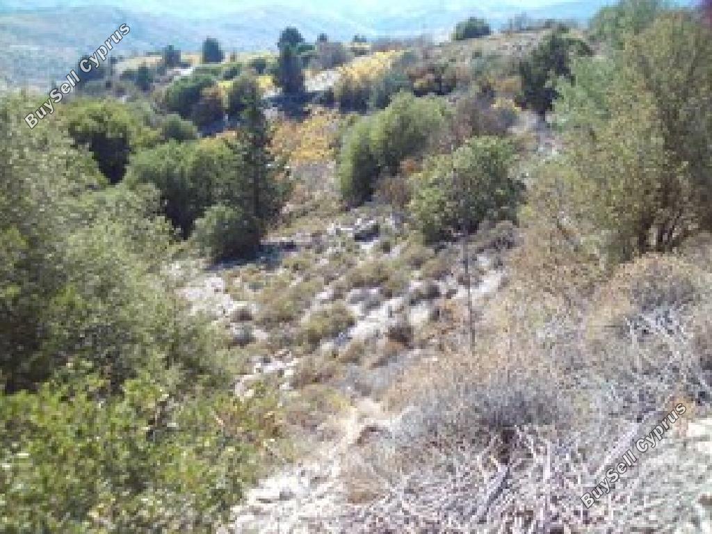 land for sale kilinia paphos 945811 image 17228066