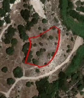 plot for sale tremithousa paphos 1804811 image 10265103