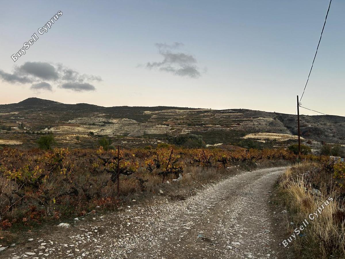 4683 SQM Land for sale in Omodos, Limassol 11227830