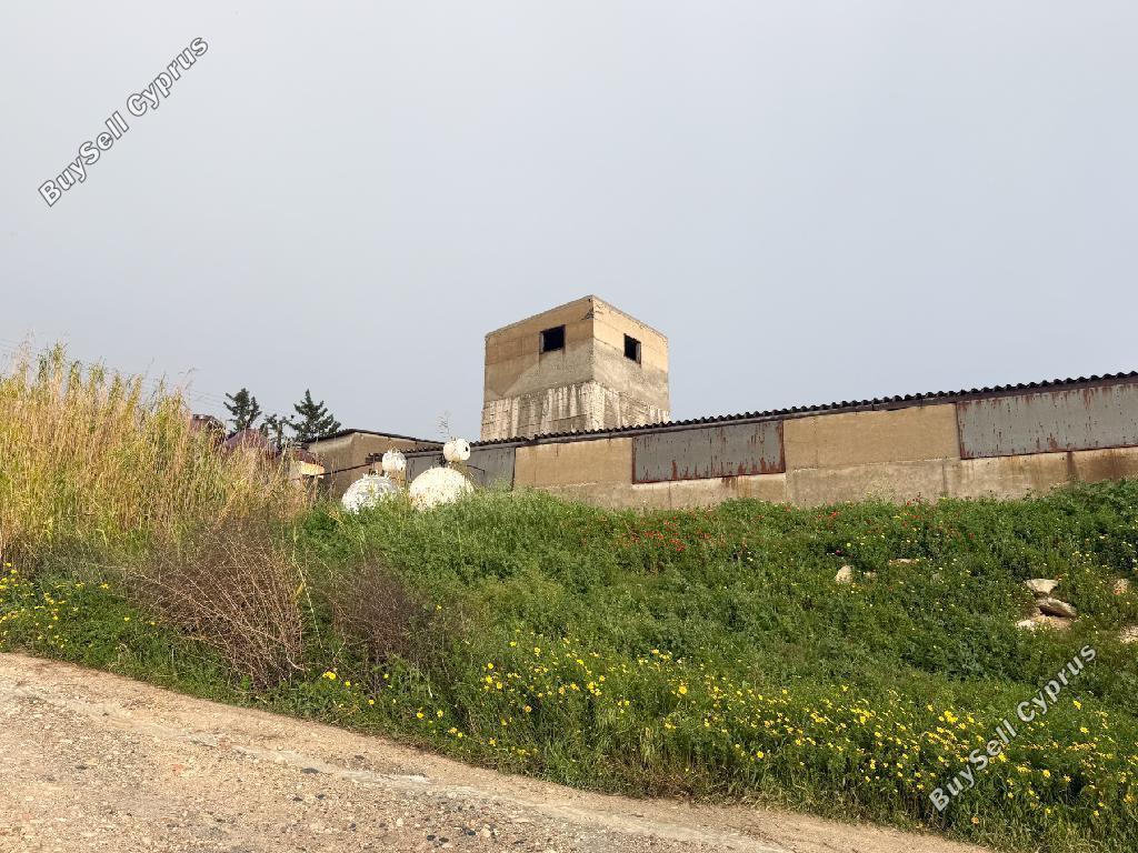 studio farm for sale aradippou larnaca 8433911 image 14998517