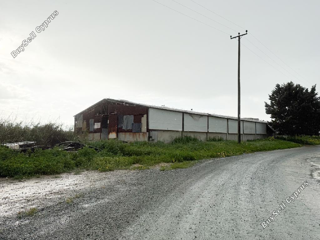 studio farm for sale aradippou larnaca 8433911 image 14998521