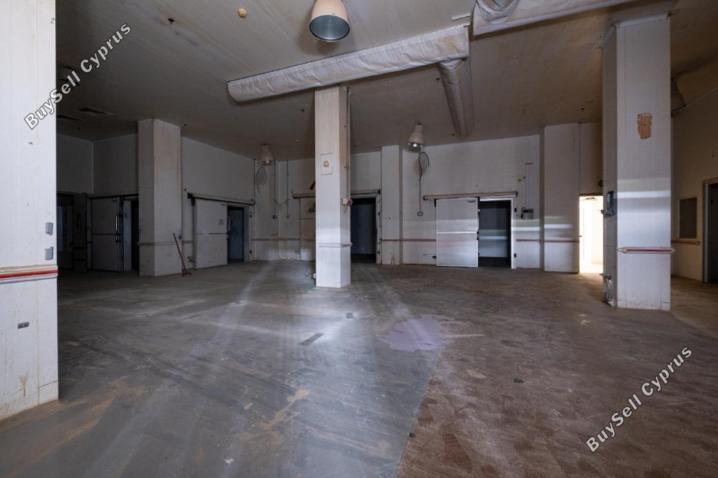 studio industrial building for sale tremithousa paphos 904911 image 16576933
