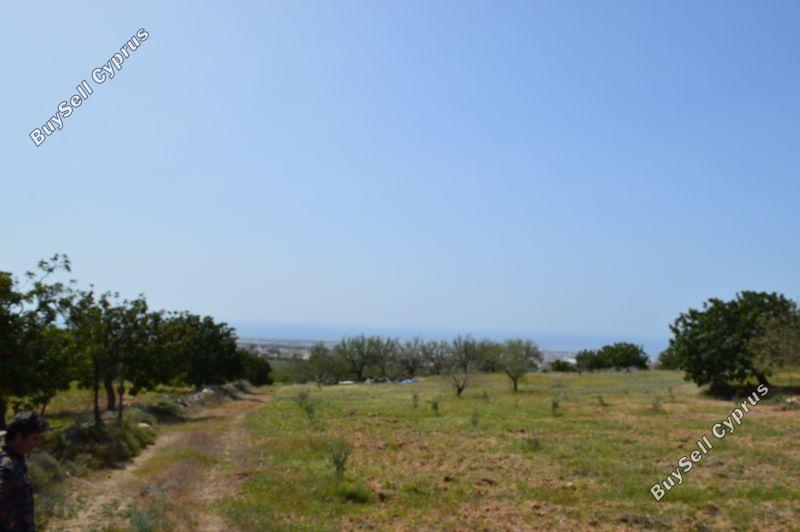 7498 SQM Land for sale in Armou, Paphos 299162