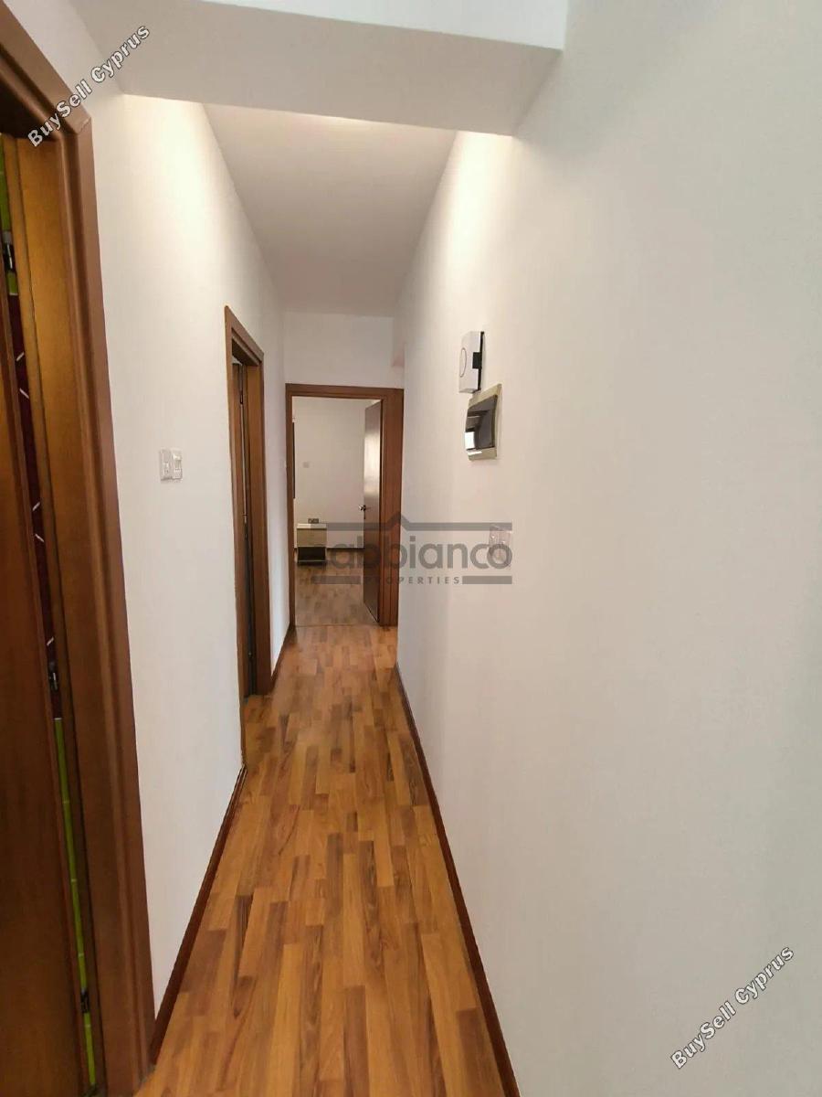 3 bedroom detached house for sale mazotos larnaca 8748021 image 16459850