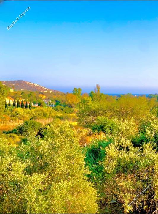 3 bedroom detached house for sale moni limassol 8608021 image 15785910